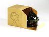 ES#6318 - VHH096 - Fast Jr (PART IS NO LONGER AVAILABLE) - Get yours today while it lasts! - DriverGear - 
