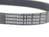 ES#2642178 - 03G903137B - Accessory Belt - Recommended to be replaced at the first sign of cracking - Continental - Volkswagen
