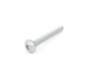 FILLISTER HEAD SCREW