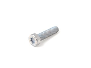 ES#255178 - 51247217793 - TORX BOLT - SEE MOQ - Genuine BMW - BMW