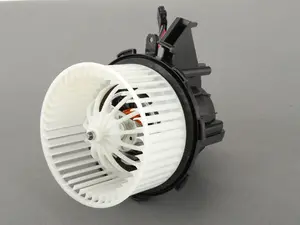 Blower Motor