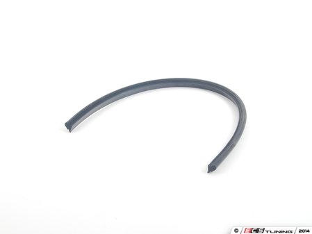 ES#95711 - 51361879964 - Front window sealing - (NO LONGER AVAILABLE) - Protective seal that keeps water and debris out of your door - Genuine BMW - 
