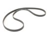 ES#269693 - 022145933P - Accessory Belt - Keep your accessories working with a new drive belt. 24.92x2074mm - Genuine Volkswagen Audi - Audi Volkswagen