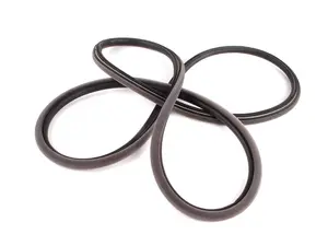 E34 Front Interior Door Gasket
