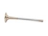 ES#2575506 - 06D109611L - Exhaust Valve - Priced Each - A sodium filled valve - TRW - Audi Volkswagen