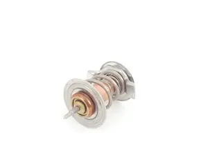 Thermostat Insert