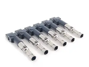  Ignition Coil Pack - Set Of Six