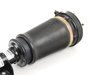 ES#2593638 - 37116761444 - Front Air Strut Assembly - Right - Complete air strut - Arnott - BMW