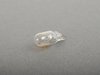 ES#2535554 - 90063101990 - 3 Watt Bulb - Priced Each - White glass-based light bulb - Osram Sylvania - Porsche