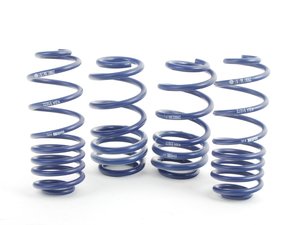 ES#11915 - 29061-1 - OE Sport Springs Set - Mild lowering for the daily driver. Average lowering of 1.0"F 1.0" R - H&R - Audi