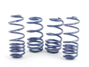 OE Sport Springs Set