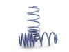 ES#11915 - 29061-1 - OE Sport Springs Set - Mild lowering for the daily driver. Average lowering of 1.0"F 1.0" R - H&R - Audi