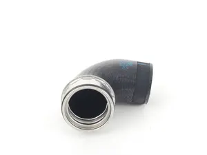 Throttle Body Inlet Hose