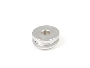 SCREW PLUG