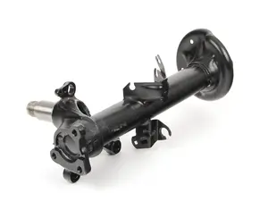 Front Strut - Left