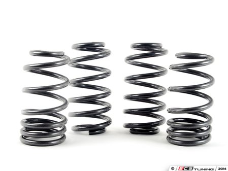 ES#7414 - 29798-1 - Race Springs Set - Aggressive looks and ultimate handling. Average lowering of 1.9"F 1.5"R - H&R - Audi