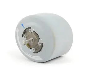 Engine Mount - Left