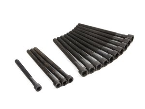 ES#2702677 - 11127548799 - Cylinder Head Bolt Set - A complete set of one time use head bolts - Elring - BMW
