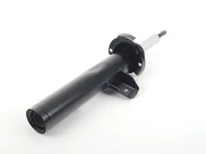 Front Strut - Left