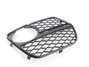 ES#2633723 - 51117312604 - OPEN GRID, RIGHT - Genuine BMW - BMW