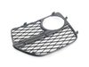 ES#2633723 - 51117312604 - OPEN GRID, RIGHT - Genuine BMW - BMW