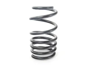 JCW GP2 Coil Spring - Rear 