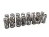 ES#2570013 - FSIVALVEKITUPG - Valvetrain Service Kit - With Supertech Valves - Replace every moving part in your head - Assembled By ECS - Audi Volkswagen
