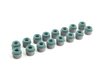 ES#2570013 - FSIVALVEKITUPG - Valvetrain Service Kit - With Supertech Valves - Replace every moving part in your head - Assembled By ECS - Audi Volkswagen