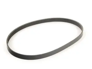 Accessory Belt