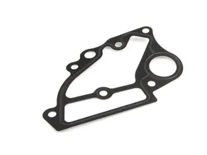 Coolant Flange Gasket