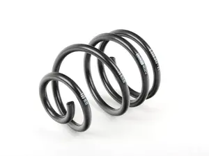 Front Coil Springs - Priced Each