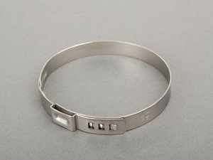 ES#1305002 - 13717594395 - Hose Clamp - Genuine BMW - BMW
