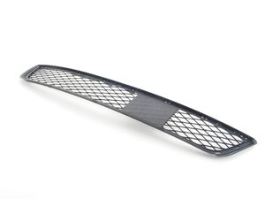 ES#1906625 - 51117222855 - Center Lower Grille - Genuine BMW replacement for a damaged grille. - Genuine BMW - BMW
