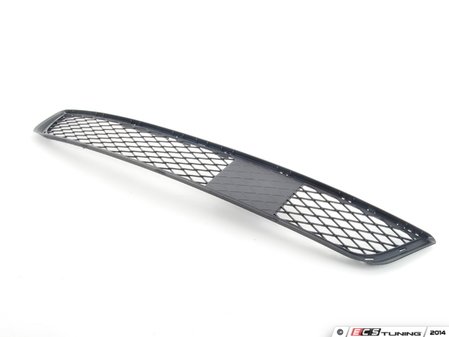 ES#1906625 - 51117222855 - Center Lower Grille - Genuine BMW replacement for a damaged grille. - Genuine BMW - BMW