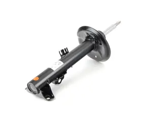 Strut Assembly - Left