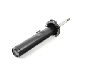 Front Strut - Right