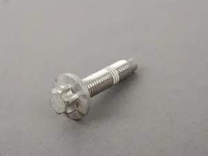 Torx Screw - Priced Each 