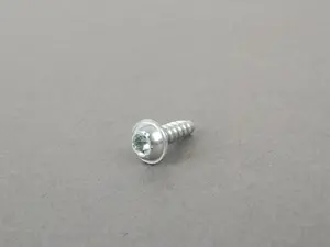 Fillister head screw - priced each