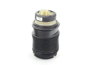 Rear Air Spring - Left