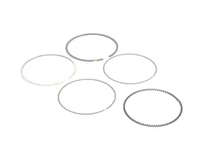 Piston Ring Repair Kit