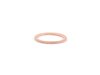 ES#2724090 - N0438121 - Oil Drain Plug Seal (26 X 32 X 2 mm) - Fischer and Plath - Audi