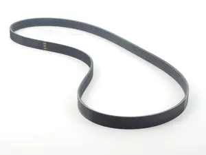 Accessory Drive Belt