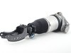 ES#2742330 - 7L8616039H - Front Air Spring With Strut - Left - Recommended to be replaced in pairs. - Genuine Volkswagen Audi - Audi