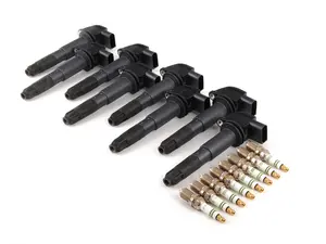 Ignition Service Kit
