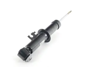 Strut Assembly - Rear