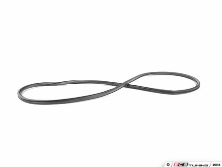 ES#92753 - 51311904395 - Windshield Sealing Gasket - (NO LONGER AVAILABLE) - Stop that leak every time it rains - Genuine BMW - 