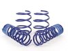 ES#248919 - 50460 - Sport Spring Set - Average lowering of 1.3"F 1.2" R - H&R - BMW