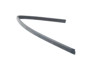 Window Seal - Left Side
