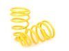 ES#3241051 - 1322000bKT - ST X Performance Coilover System - Fixed Damping 1322000B - Height adjustable with average lowering of 1.2" - 2.2" F. & 1.2" - 2.4" R : Coupe :: 1" - 2" F. & 1.2" - 2.4" R : Roadster - Suspension Techniques - MINI