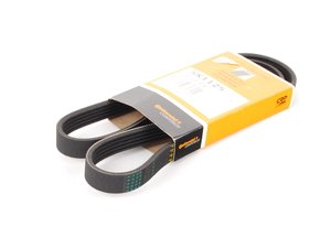 ES#2731771 - 079903137AB - Accessory Belt  - Replace your cracked or worn belt - Continental - Audi